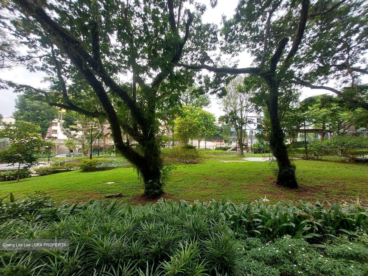 Parksuites (D10), Apartment #458377791